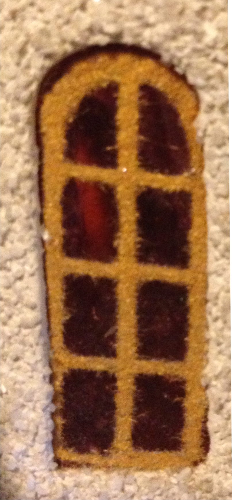 Close up of original Fuzzy.jpg