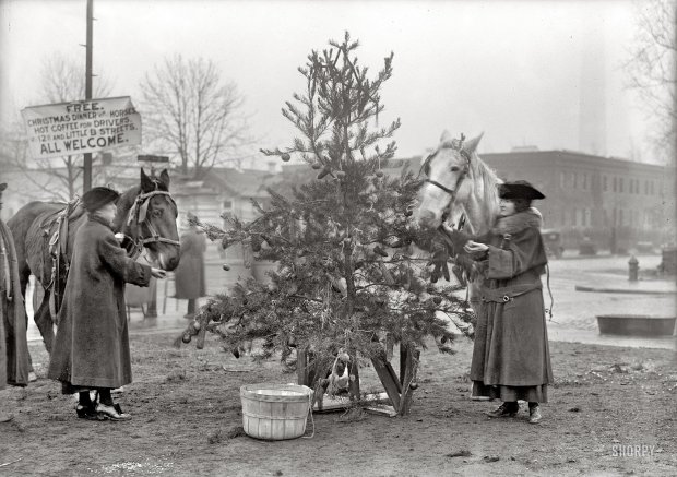 Christmas tree for horses