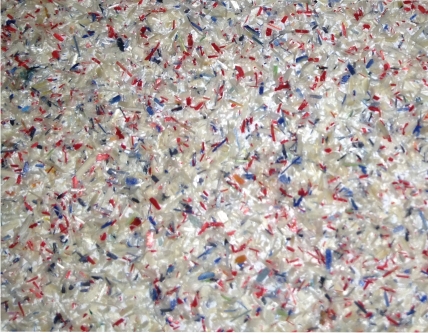 Peach and Blue Cat House 4.jpg