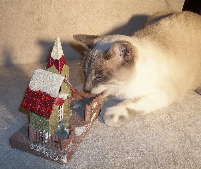 Teds Coco Church Ebay & Buddy 003.JPG