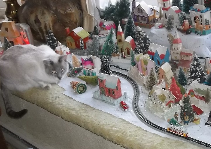 EBAY JAN 6 + Cats Train HOUSES 097.JPG