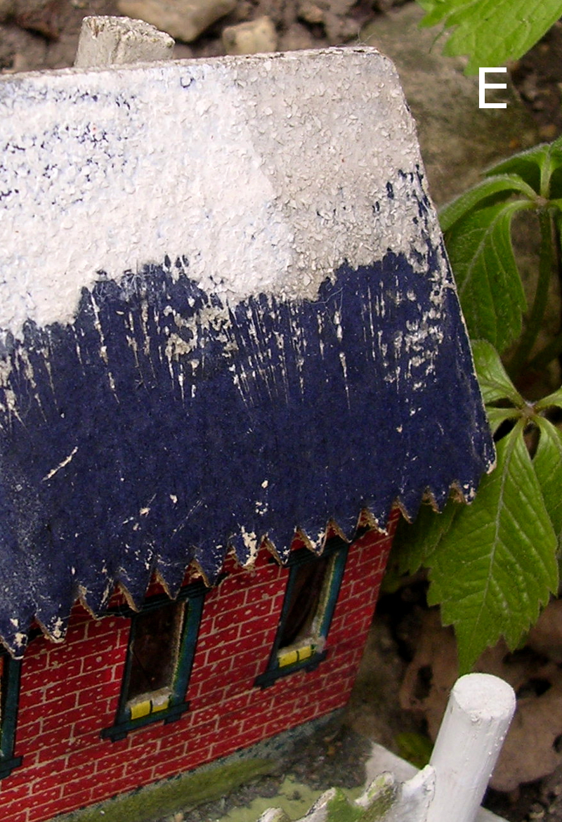 DSCN7178 B.JPG
