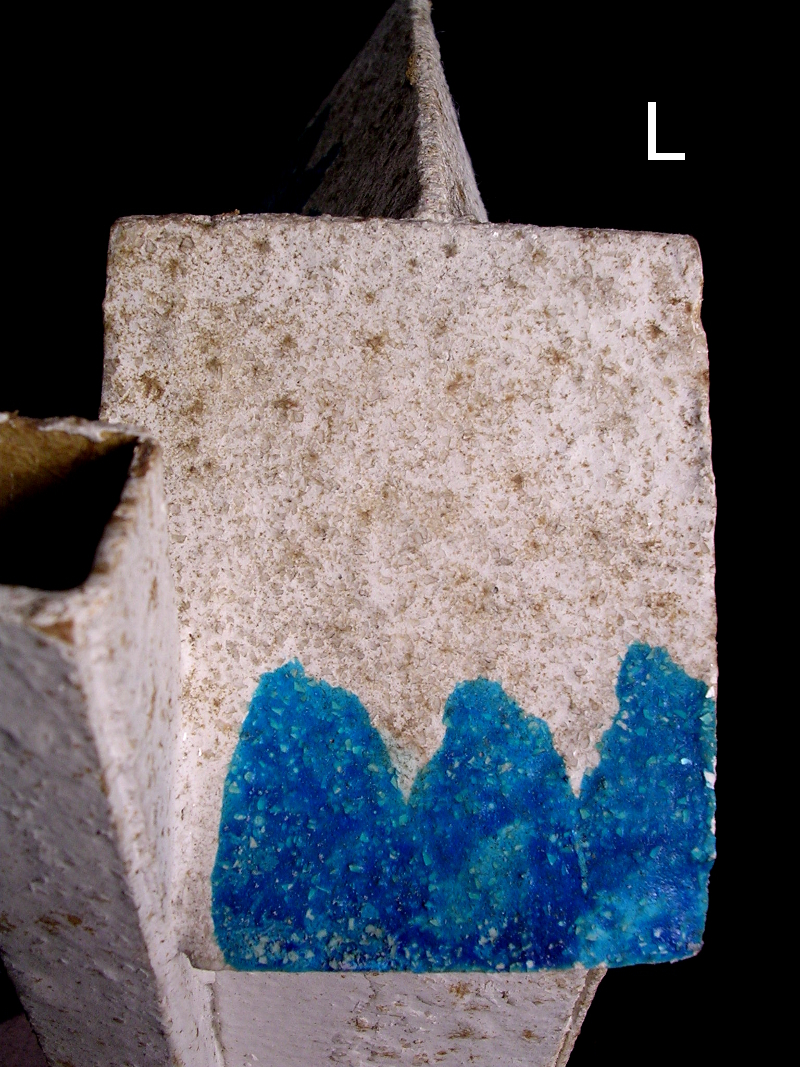 DSCN5165 B.JPG
