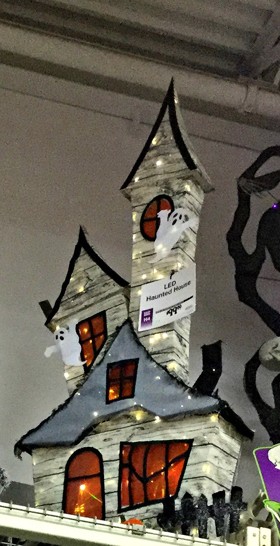 home depot light up house1.jpg