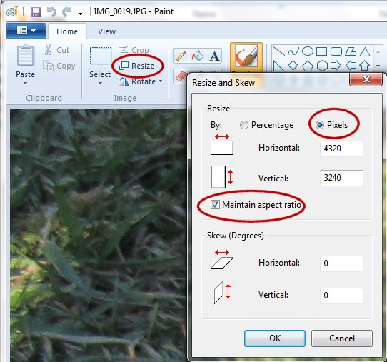 resizing_w_windows_7_paint_program.jpg