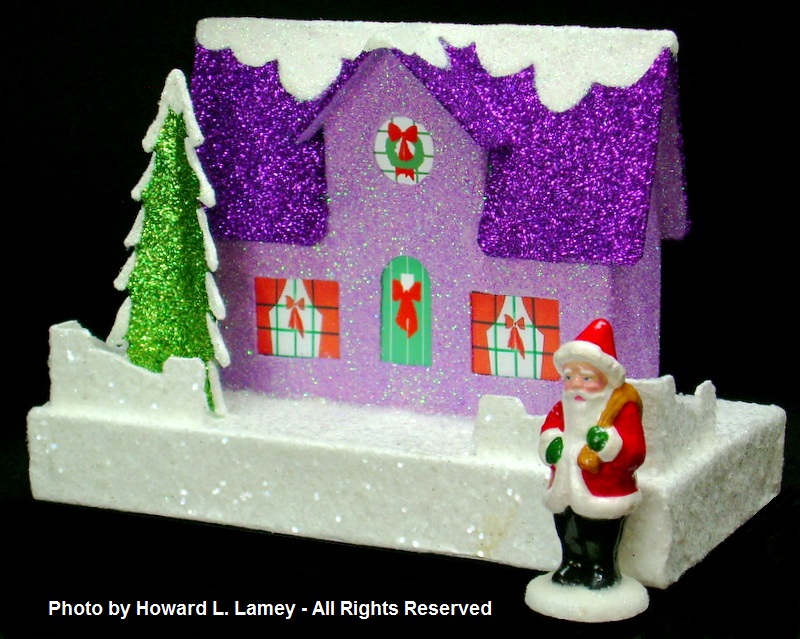 DOLLY house 1 2020 002.JPG