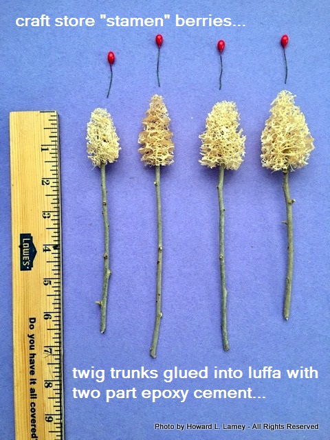 luffa tree berries.jpg