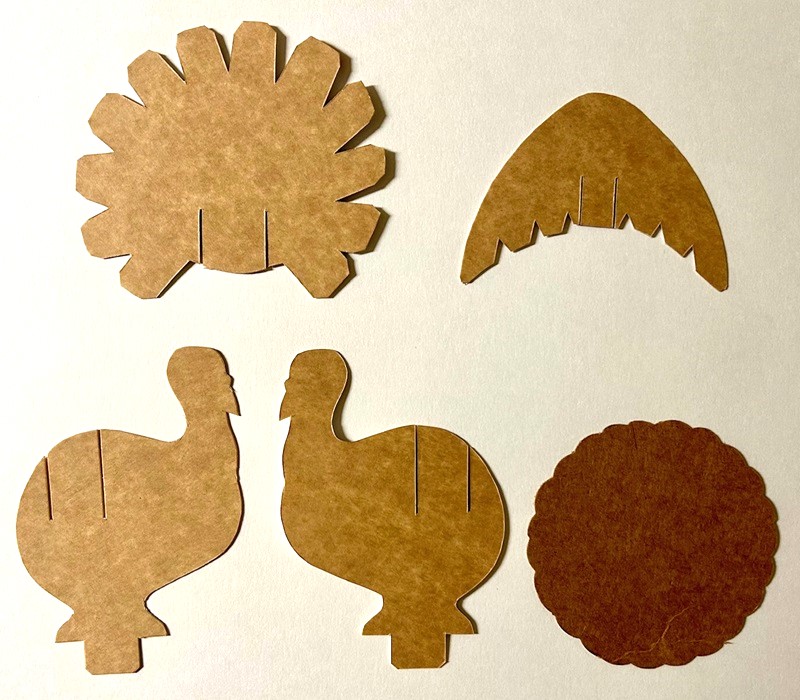 parts turkey.jpg